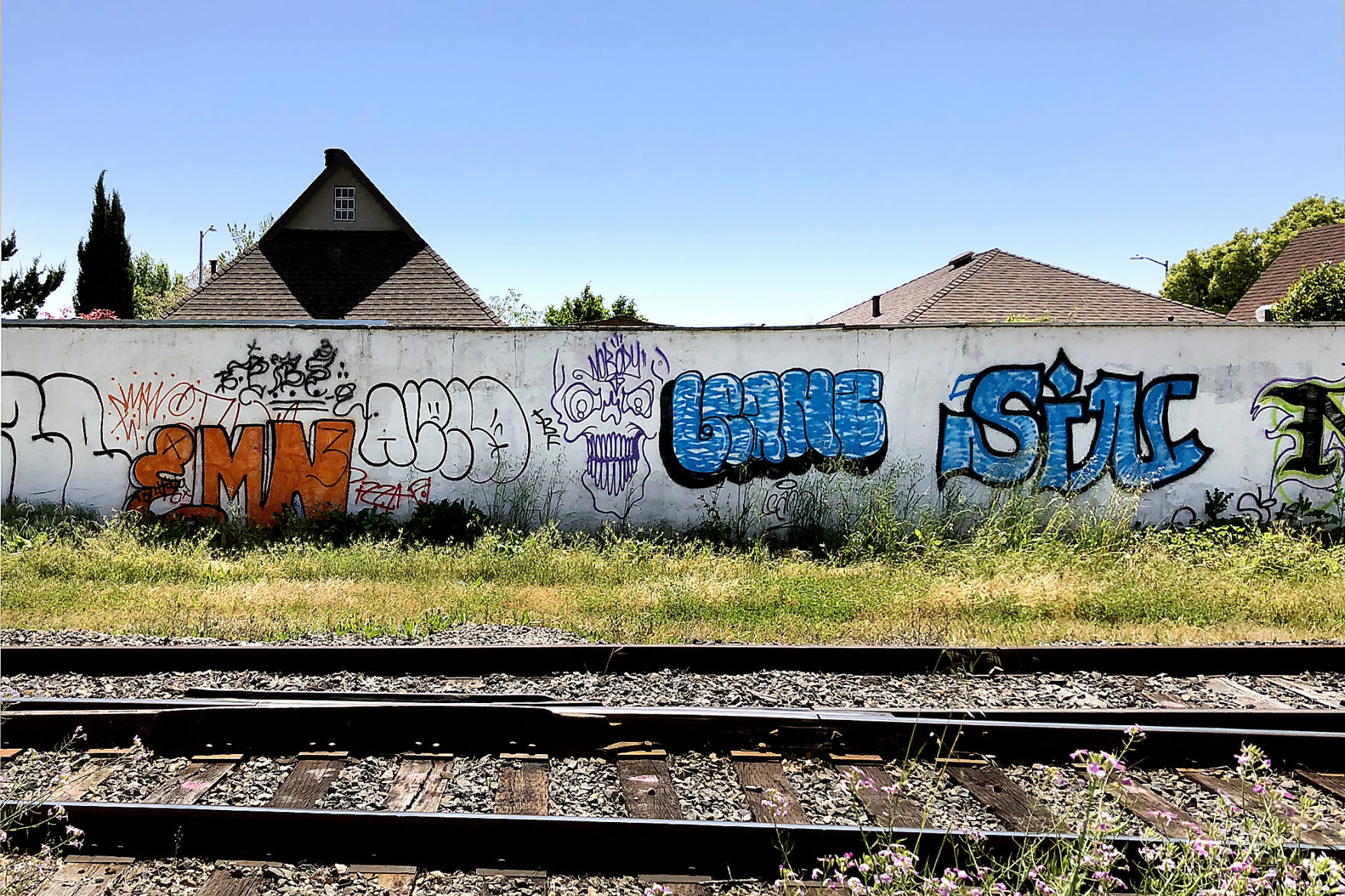 Vine Trail Grafitti